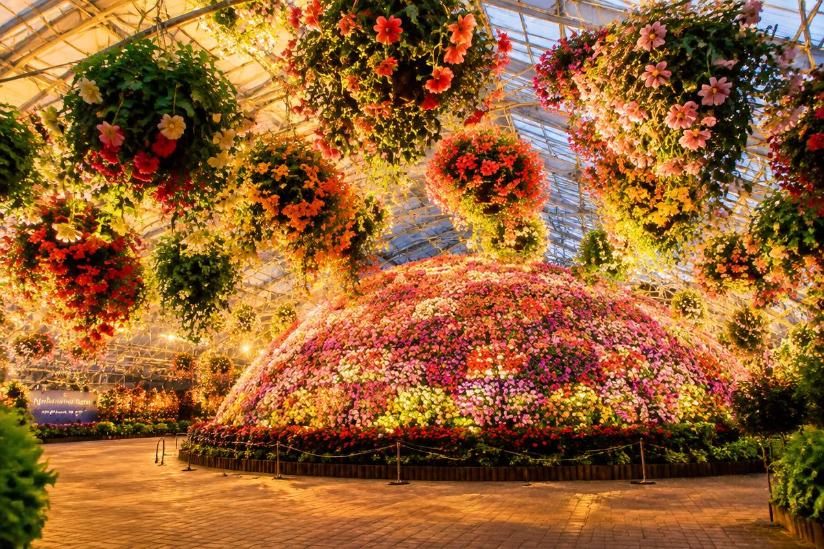 Nabana no Sato · Begonia Greenhouse